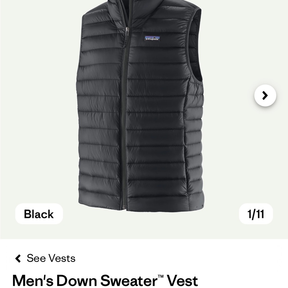 Patagonia Men's Black Insulated Vest